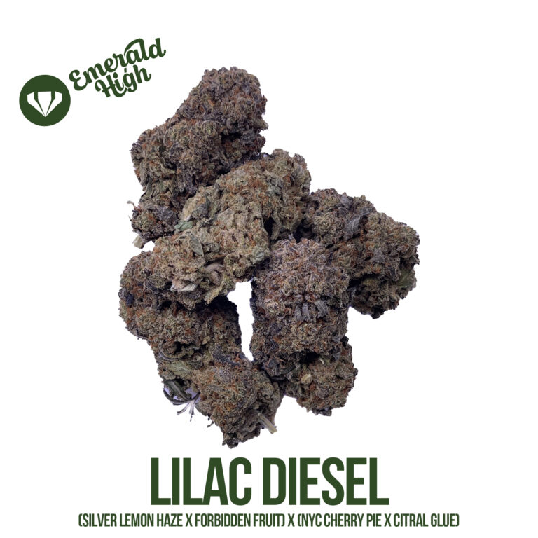 LILAC DIESEL