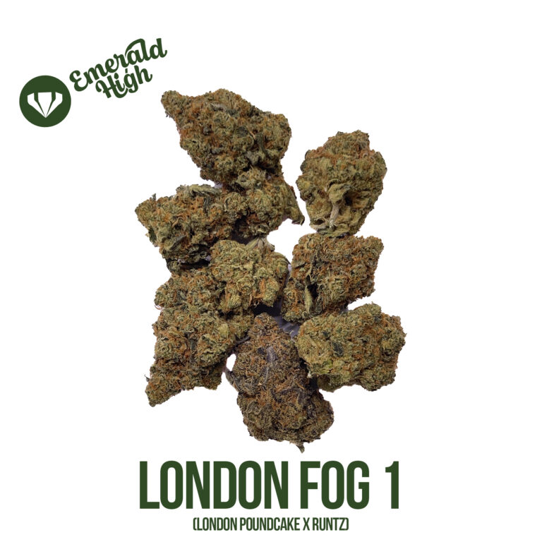 LONDON FOG 1