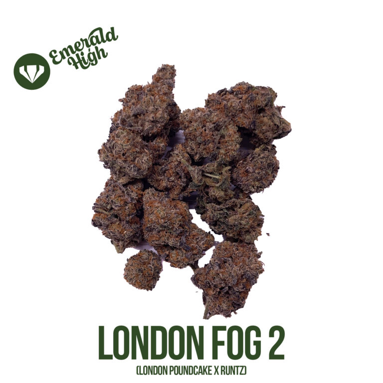 LONDON FOG 2