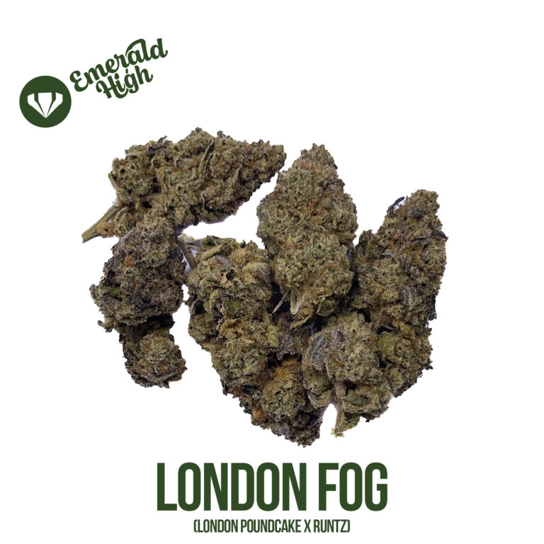 LONDON FOG