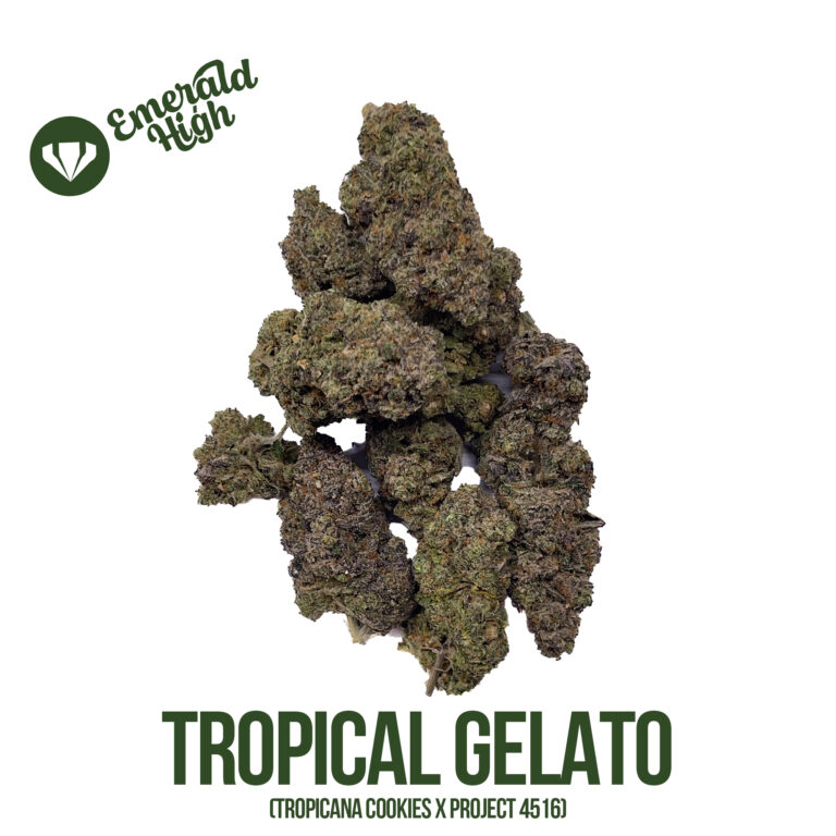 TROPICAL GELATO